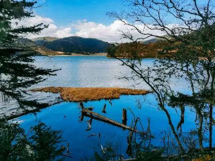 77spins Casino Mobil App